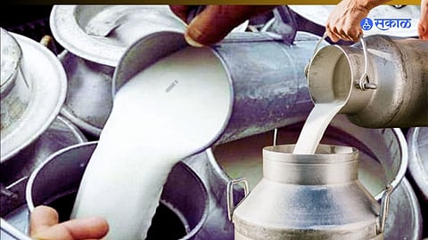  Milk Rate