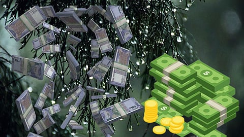 Money Rain Case
