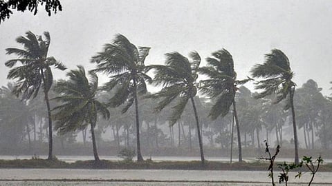 Monsoon Rain