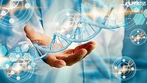 Genetic Test A Blueprint for Health