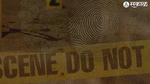 Fraud Crime
