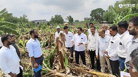 Solapur News: अधिवेशनात शेतकऱ्यांच्या दुध दर प्रश्नी आवाज उठविणार, आमदार मानेंनी थेटच सांगितले 
