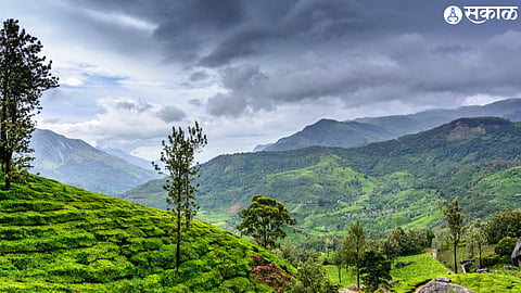 Monsoon Update 