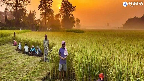 Farmers Help