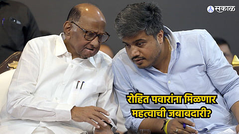Rohit Pawar may be get an important responsibility 