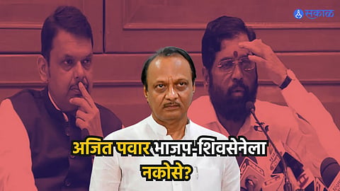 Mahayuti Crisis