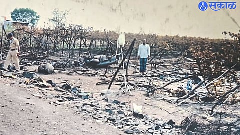 Gorthan Damage to the vineyard in the Sukhoi plane crash six years ago.