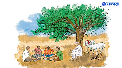 rural education student away from education teachers lost their job