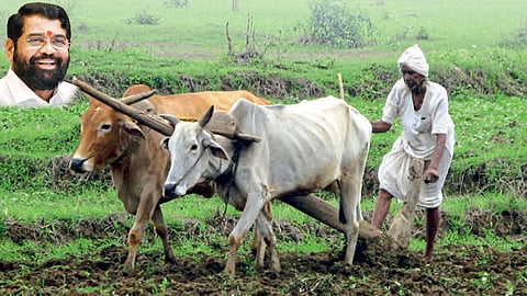 Farmer