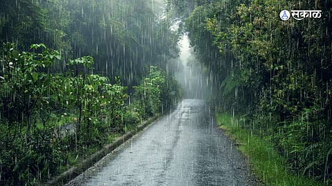 Monsoon News : यवतमाळमध्ये जोरदार पावसाची हजेरी; राज्यात 'या' तारखेला येणार मान्सून