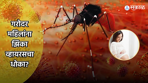 Zika Virus In Pune