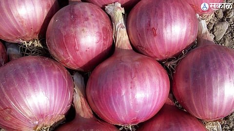 farmer relief for onion rate good price only if plans while selling onions