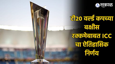 T20 World Cup 2024 prize Money
