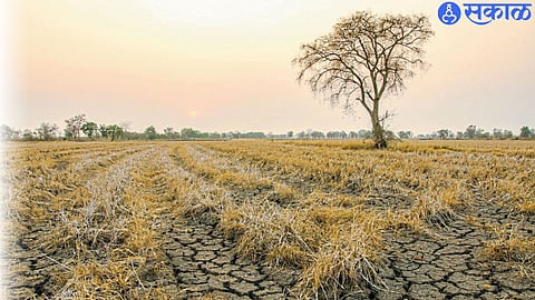 Agricultural land (file photo)