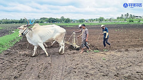 Monsoon News