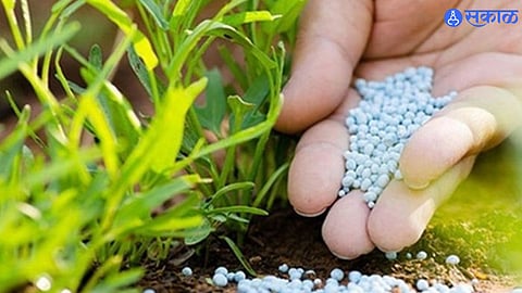 Sangli authorities take action against eight fertilizer and pesticide shops for regulatory violations, with further proposals to suspend three companies.