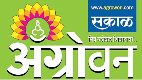 agrowon