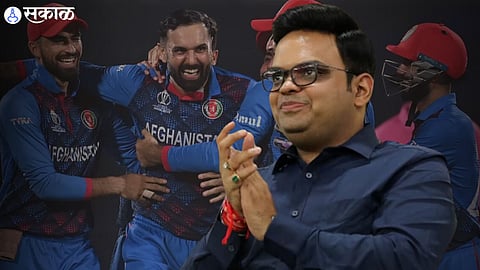 BCCI