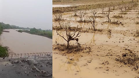 Heavy rain in Dhanora Ghansawangi