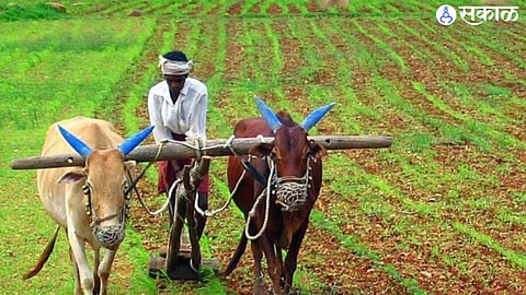 Farmer 