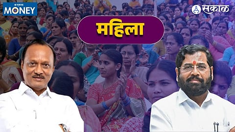 Maharashtra Interim Budget 2024: 