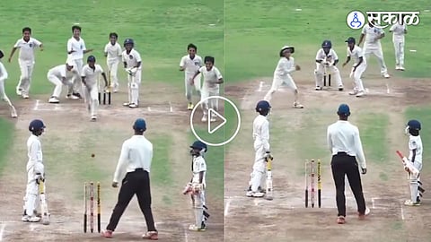 Cricket Viral Video