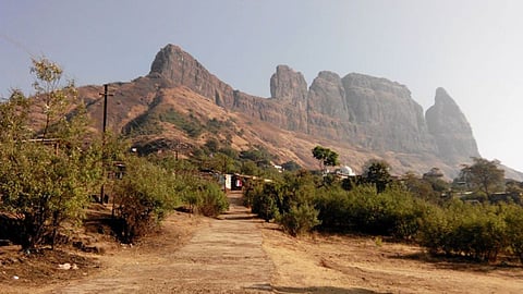 Malanggad