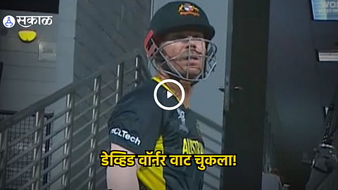 David Warner 