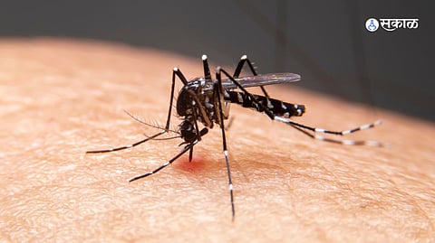 Monsoon Health Care: 