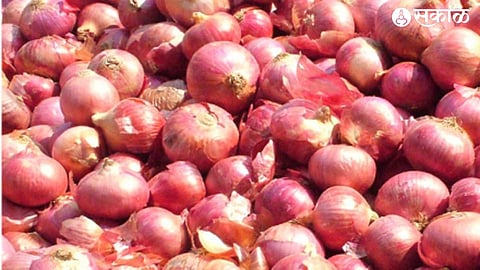 onion crop