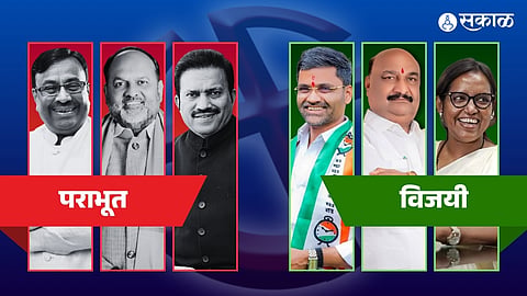 Lok Sabha Election Result
