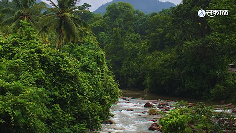 Monsoon Travel Tips 