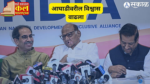 Sakal Survey 2024