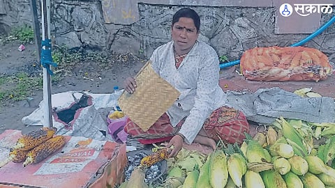 during rainy season corn kernels are sold in every corner of Solapur