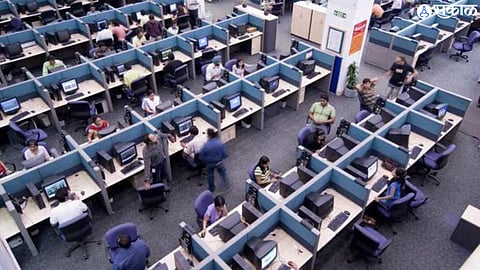 IT Employees