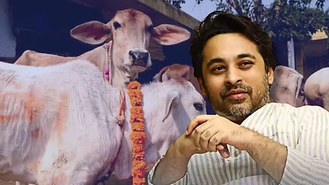 Nilesh Rane