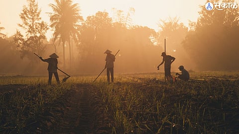 557 farmers lost their lives in six months in vidarbha