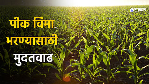 Crop Insurance