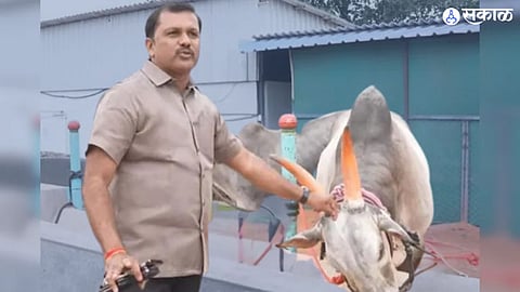 Ranjit Nimbalkar Firing Case 