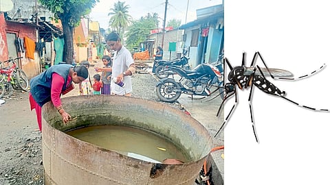 Dengue