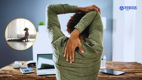 Yoga Tips
