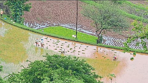 Rain Water