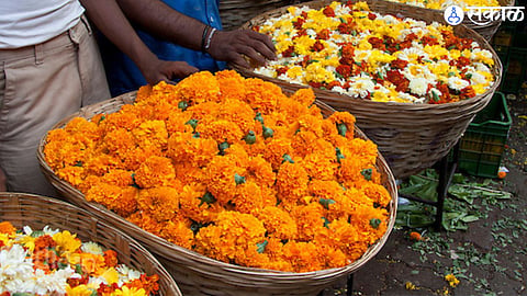Nashik Flower Market