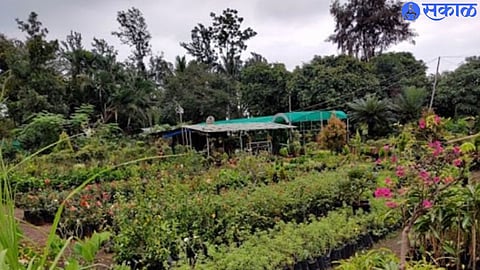 nurseries 