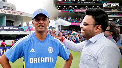 Rahul Dravid T20 World Cup 