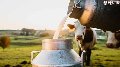 Milk Production