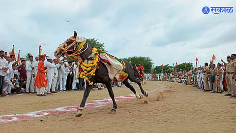 Ashadhi Wari