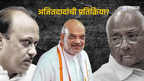Amit Shah Criticizes Sharad Pawar 
