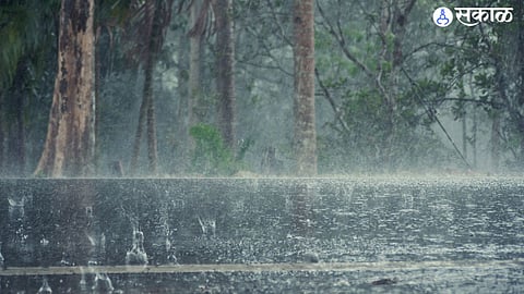 heavy rain 14 mandal of nanded recorded rainfall of 81 mm