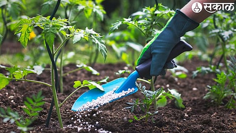 fertilizers